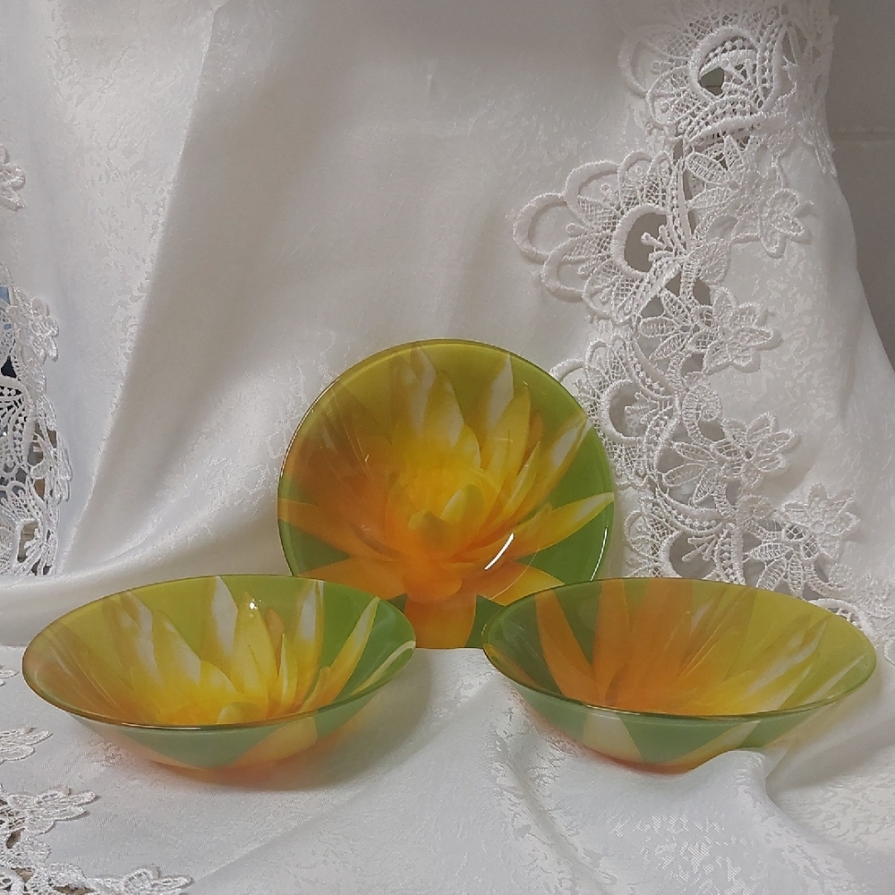 ARC, Maide In France, Vibrant Floral Glass Bowls